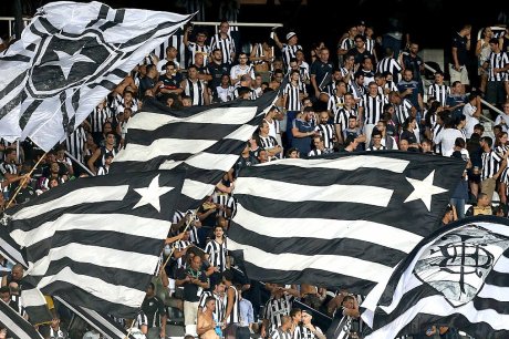 Botafogo de Futebol e Regatas: A História do Glorioso